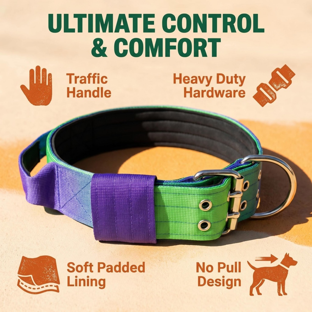 5cm Wide Heavy Duty Dog Collar - огляд і ціна Heavy Equipment Cat
