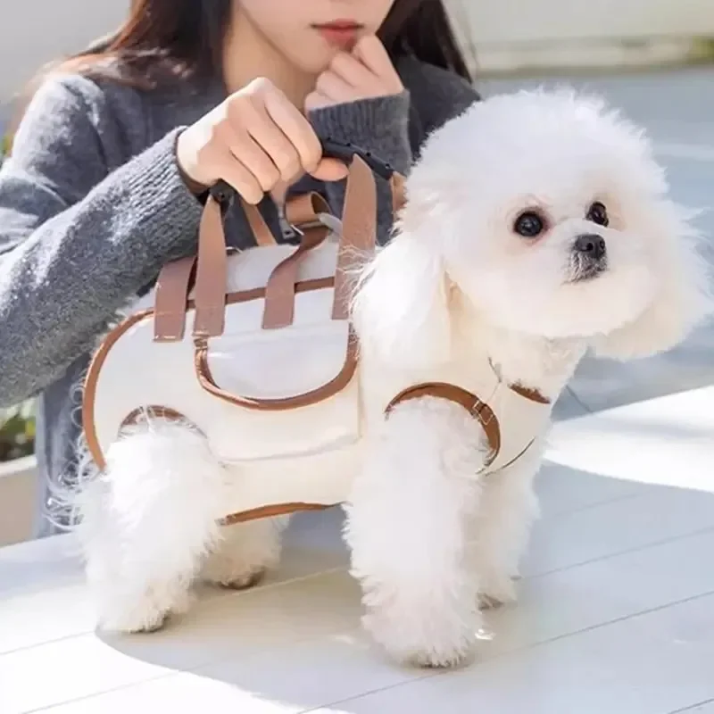 2026 Small Dog Lift Harness Ba - огляд і ціна Heavy Equipment Cat